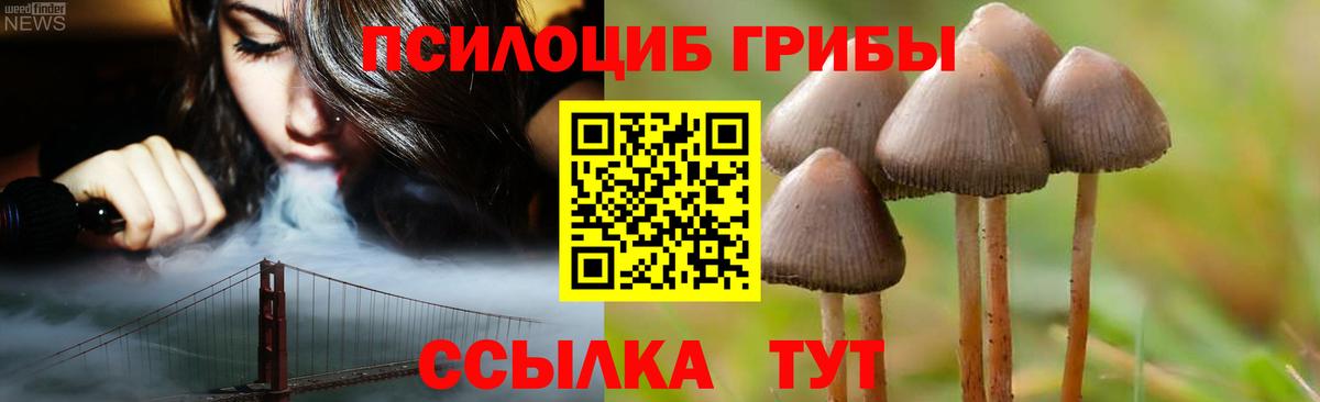 Красноуфимск  Псилоцибиновые грибы мицелий  Псилоцибиновые грибы Psilocybine cubensis  Вход с VPN 